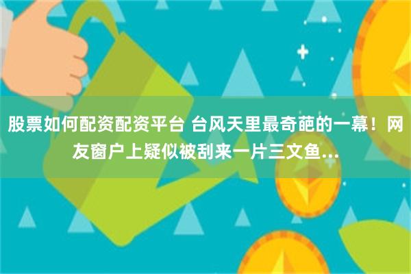 股票如何配资配资平台 台风天里最奇葩的一幕！网友窗户上疑似被刮来一片三文鱼...