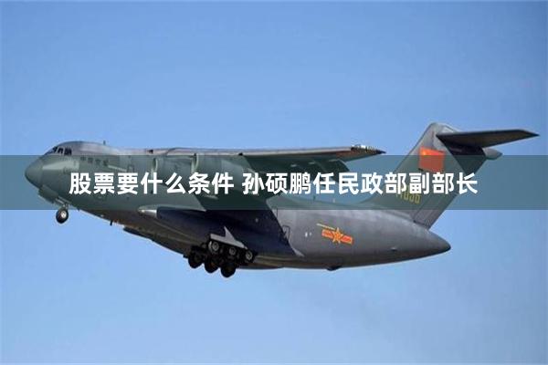 股票要什么条件 孙硕鹏任民政部副部长