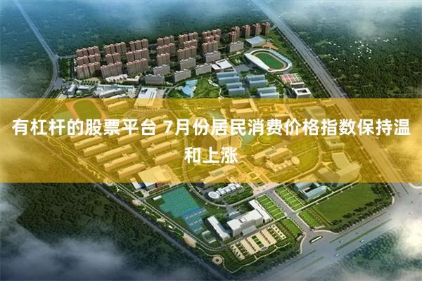 有杠杆的股票平台 7月份居民消费价格指数保持温和上涨