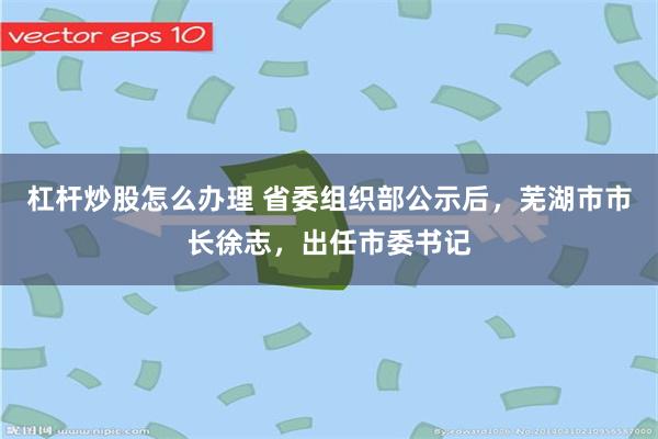 杠杆炒股怎么办理 省委组织部公示后，芜湖市市长徐志，出任市委书记