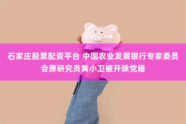 石家庄股票配资平台 中国农业发展银行专家委员会原研究员黄小卫被开除党籍