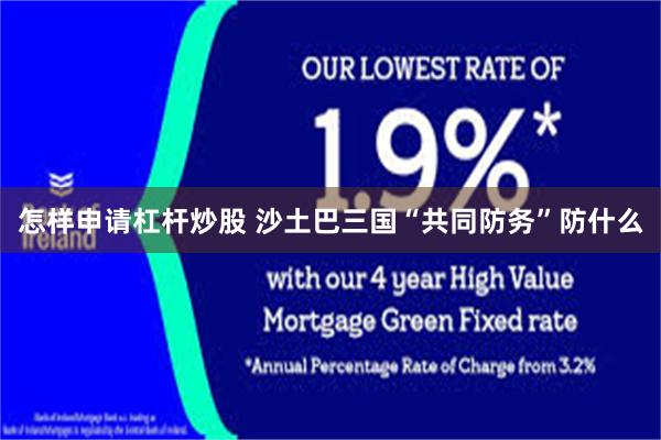怎样申请杠杆炒股 沙土巴三国“共同防务”防什么