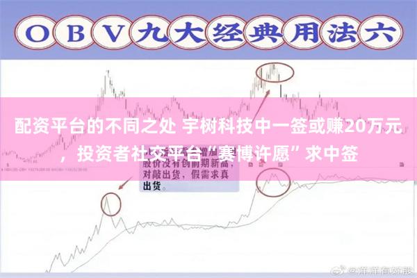 配资平台的不同之处 宇树科技中一签或赚20万元，投资者社交平台“赛博许愿”求中签
