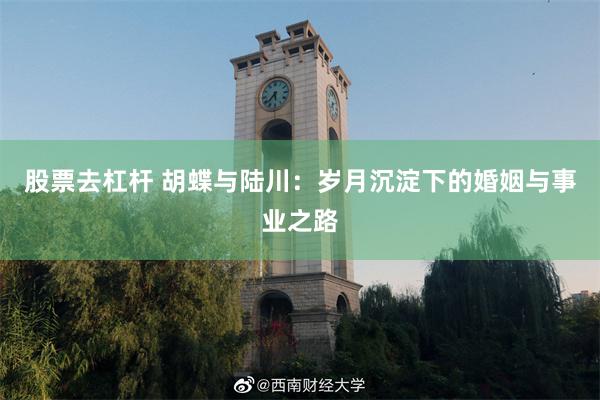 股票去杠杆 胡蝶与陆川：岁月沉淀下的婚姻与事业之路