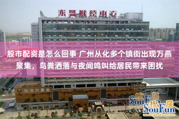 股市配资是怎么回事 广州从化多个镇街出现万燕聚集，鸟粪洒落与夜间鸣叫给居民带来困扰