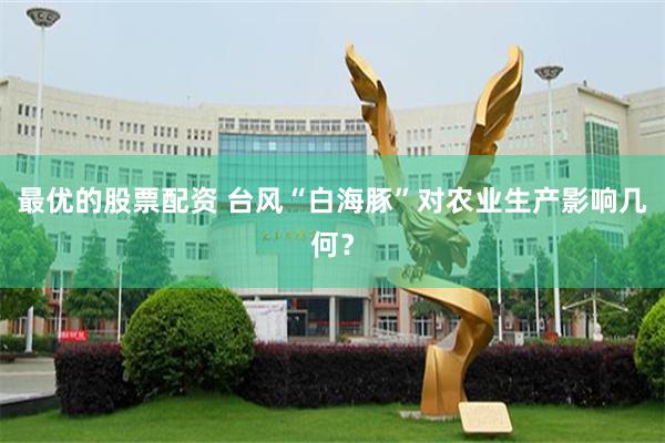 最优的股票配资 台风“白海豚”对农业生产影响几何？