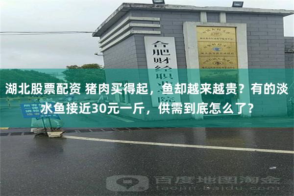 湖北股票配资 猪肉买得起，鱼却越来越贵？有的淡水鱼接近30元一斤，供需到底怎么了？