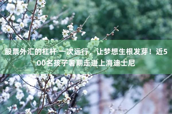 股票外汇的杠杆 一次远行,让梦想生根发芽!近500名孩子暑期走进上海迪士尼