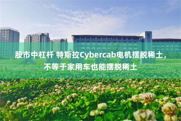 股市中杠杆 特斯拉Cybercab电机摆脱稀土，不等于家用车也能摆脱稀土