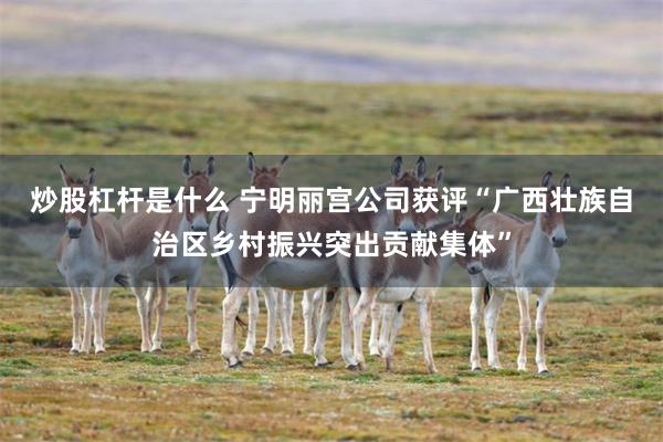 炒股杠杆是什么 宁明丽宫公司获评“广西壮族自治区乡村振兴突出贡献集体”
