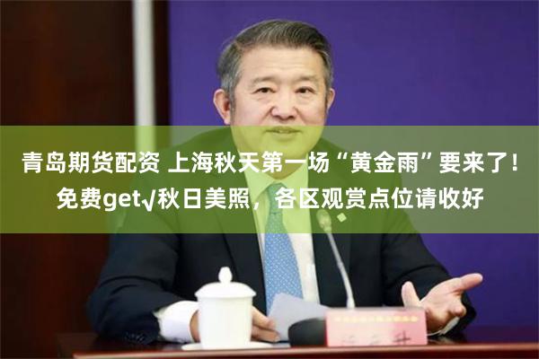 青岛期货配资 上海秋天第一场“黄金雨”要来了！免费get√秋日美照，各区观赏点位请收好