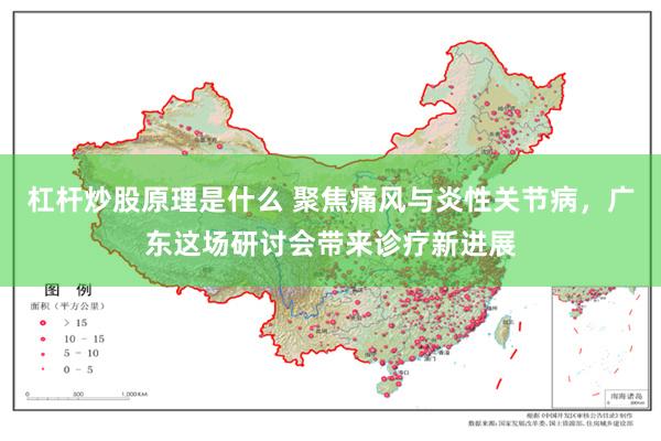 杠杆炒股原理是什么 聚焦痛风与炎性关节病，广东这场研讨会带来诊疗新进展