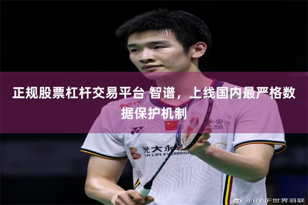 正规股票杠杆交易平台 智谱，上线国内最严格数据保护机制