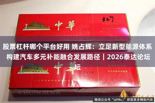 股票杠杆哪个平台好用 姚占辉：立足新型能源体系 构建汽车多元补能融合发展路径｜2026泰达论坛