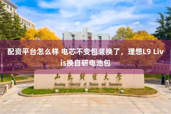配资平台怎么样 电芯不变包装换了，理想L9 Livis换自研电池包