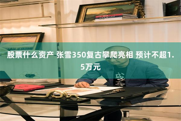 股票什么资产 张雪350复古攀爬亮相 预计不超1.5万元