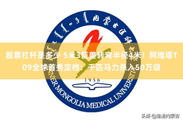 股票杠杆是多少 5米3巨兽转弯半径4米!阿维塔T09全球首秀定档:千匹马力杀入50万级