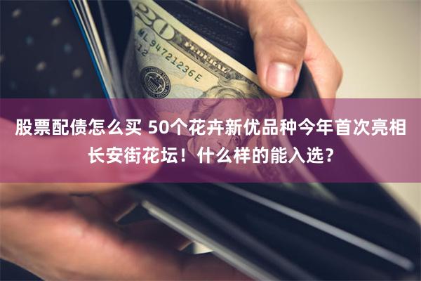 股票配债怎么买 50个花卉新优品种今年首次亮相长安街花坛!什么样的能入选?