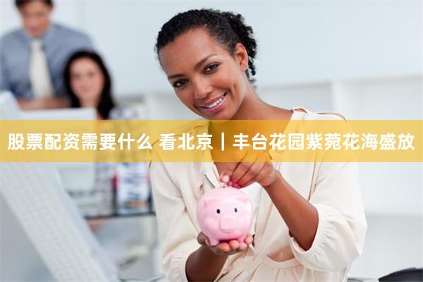 股票配资需要什么 看北京｜丰台花园紫菀花海盛放